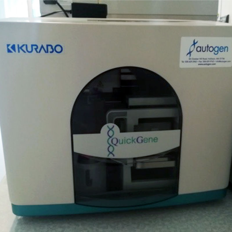 Biología Molecular DNA