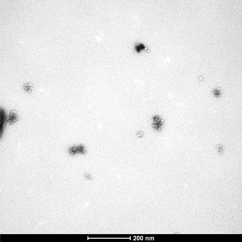 Nanopartículas de Níquel
